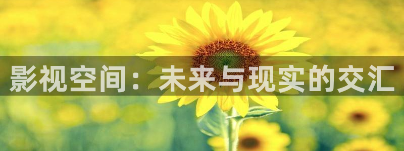 飘雪影视私人影院：影视空间：未来与现实的交汇