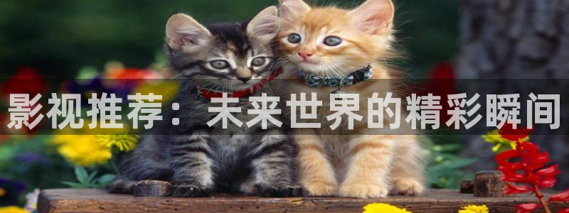 飘雪影院手机2019：影视推荐：未来世界的精彩瞬间