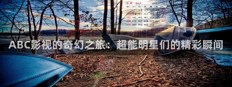 飘雪影院高清版在线播放完整版：ABC影视的奇幻之旅：超能明星们的精彩瞬间