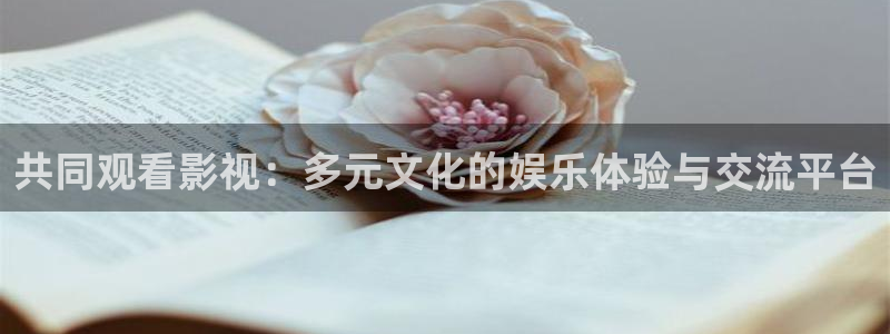 飘雪影院怎么看高清免费：共同观看影视：多元文化的娱乐体验与交流平台