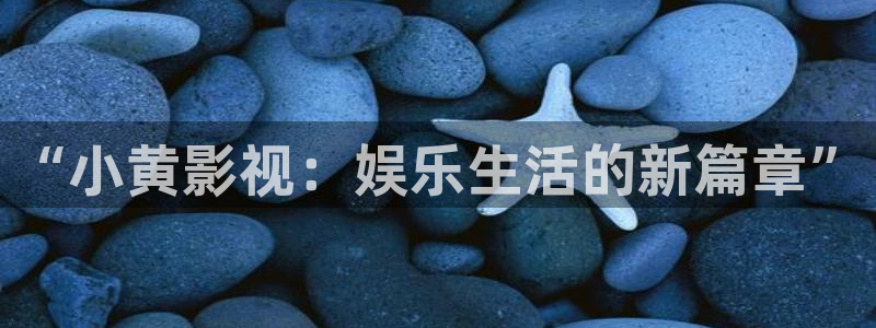 飘雪影院手机版免费：“小黄影视：娱乐生活的新篇章”