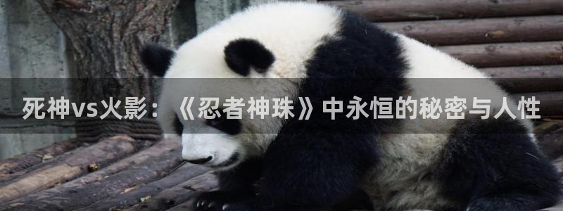 5g影院飘雪影院：死神vs火影：《忍者神珠》中永恒的秘密与人性
