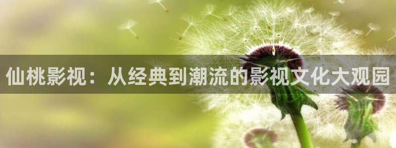 飘雪影院观看免费完整版高清电影全：仙桃影视：从经典到潮流的影视文化大观园