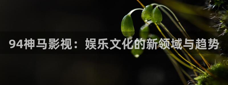 飘雪影院最新电影免费看：94神马影视：娱乐文化的新领域与趋势